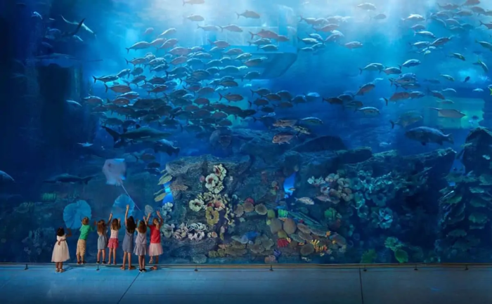 Dubai Mall Aquarium & Underwater Zoo - Standard Admission Ticket